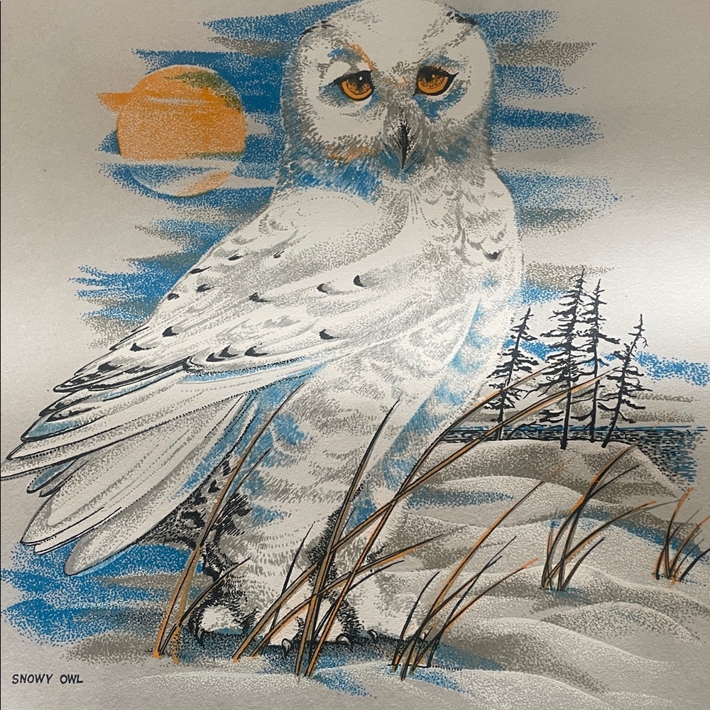 Snowy Owl Canadian Wildlife Art Print Textured Felt Paper 18x14 Unframed